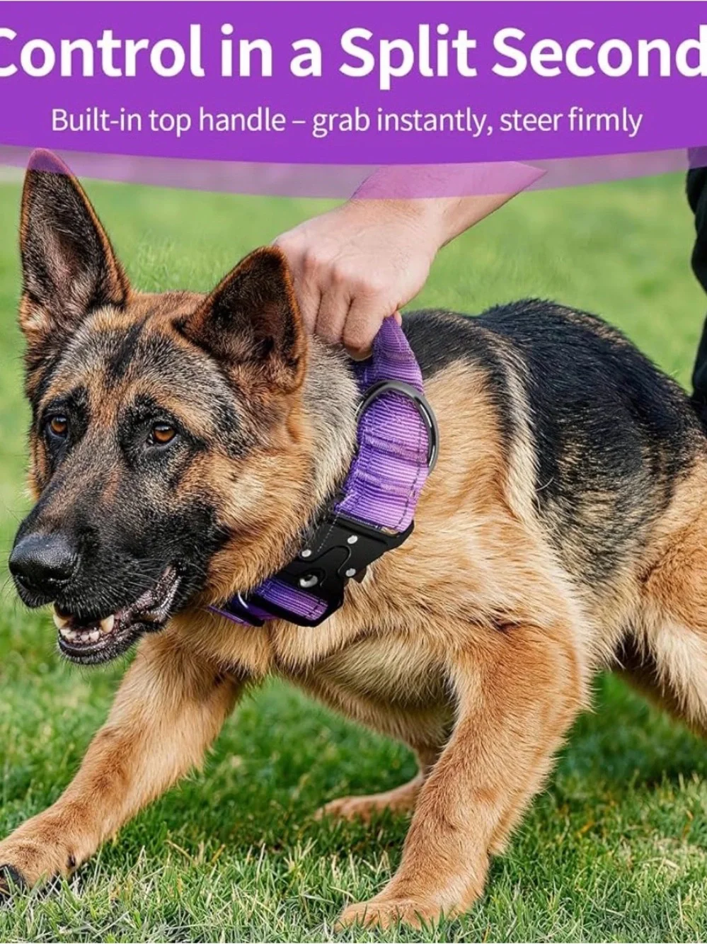Reflective Purple Dog Collar for Night Walking
